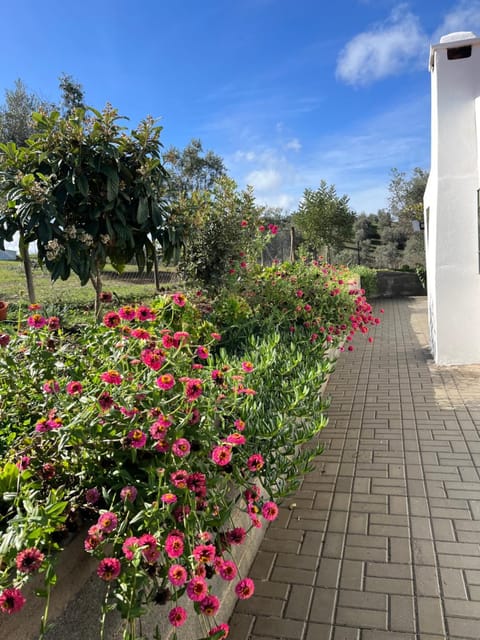 Hospedaria O Castelo Bed and Breakfast in Évora District, Portugal