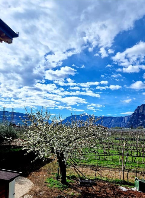 Spring, Natural landscape, View (from property/room), Mountain view