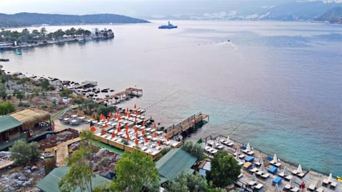 Bird's eye view, Beach