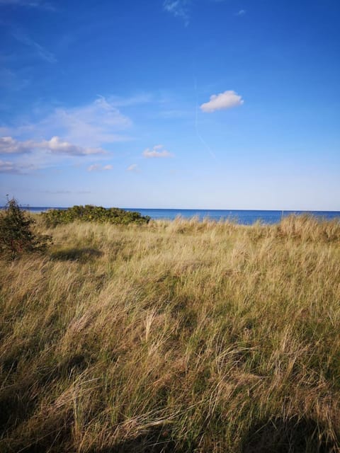 Wohlfühloase Villa Sunshine an weißem Sandstrand Haus in Dahme