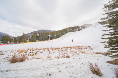 Lone Eagle 3000 by SummitCove Lodging House in Keystone