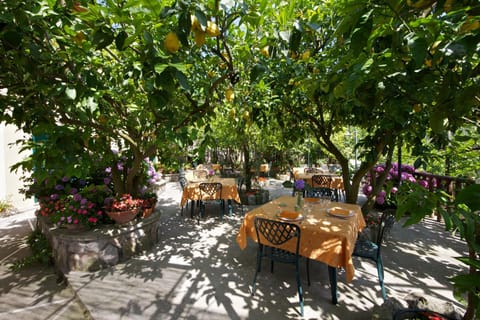 Agriturismo La Lobra Aufenthalt auf dem Bauernhof in Massa Lubrense