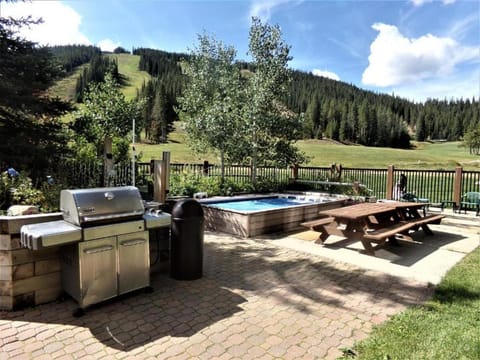 Natural landscape, Hot Tub, Mountain view