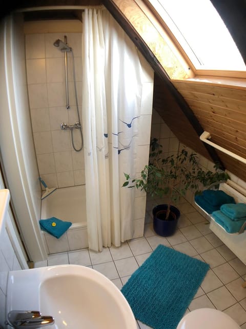 Shower, Bathroom, Photo of the whole room, Decorative detail