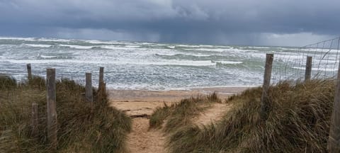 Natural landscape, Beach