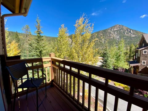 Settlers Creek 6565 by SummitCove Lodging House in Keystone