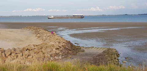 Natural landscape, Beach, River view