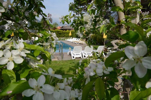 Spring, Garden, Swimming pool, Swimming pool