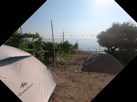 Camping Jungle in Borsh Luxury tent in Vlorë County, Albania