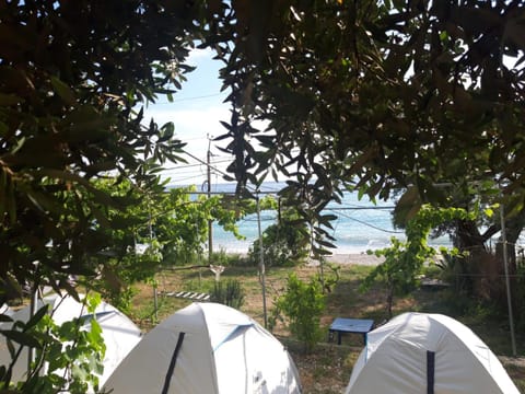 Camping Jungle in Borsh Luxury tent in Vlorë County, Albania