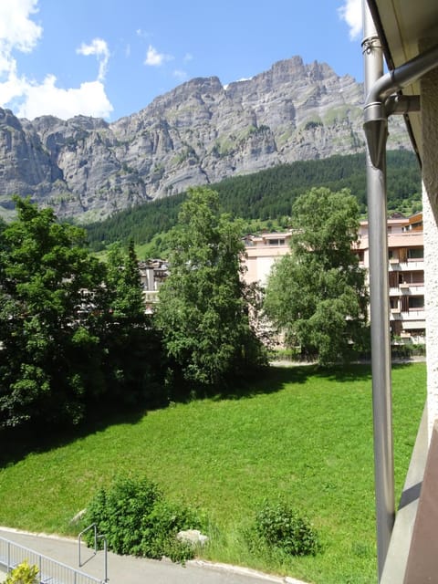Garden, Garden view, Mountain view