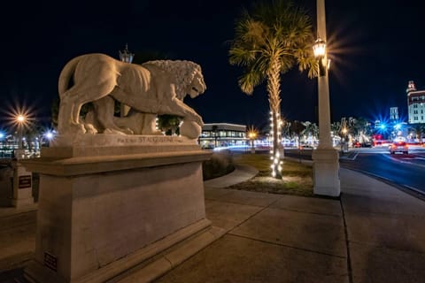 Ocean Villa's #76 House in Saint Augustine Beach