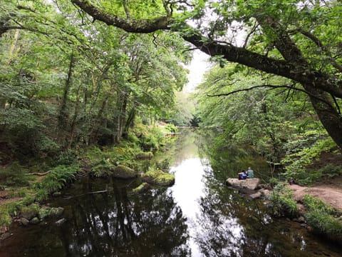 Property building, Natural landscape