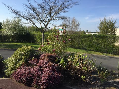 Patio, Garden view