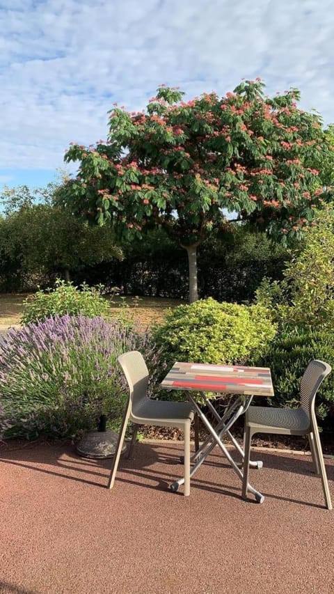 Patio, Breakfast