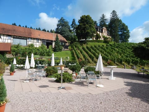 Wein Lodge Durbach - Schlossblick Condo in Offenburg