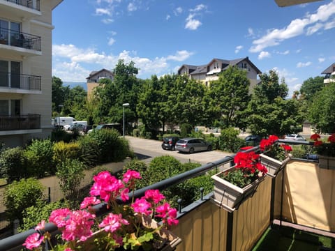 Beautiful Apartment near Geneva Condo in Saint-Julien-en-Genevois