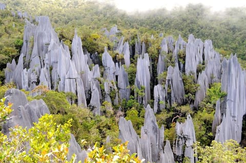 Mulu National Park Hotel in Sarawak, Malaysia