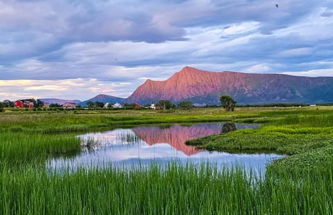 Marmelkroken AS Terrain de camping /
station de camping-car in Nordland, Norway