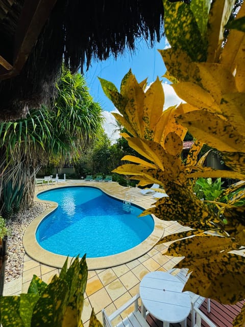 Pool view, Swimming pool