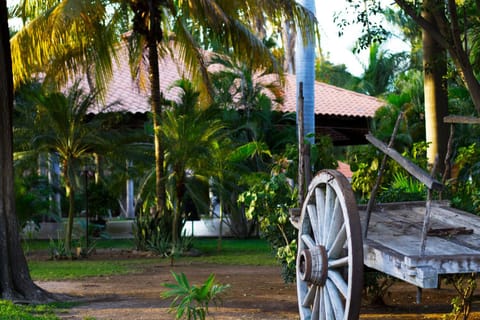 Garden, Garden view