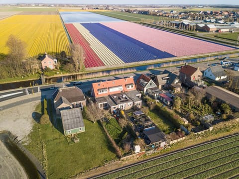 Spring, Bird's eye view, On site