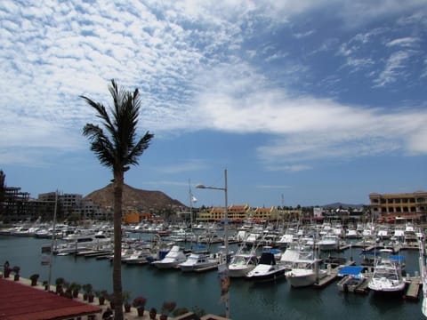 Marina Cabo Plaza Town & Beach Condos Condo in Cabo San Lucas