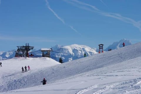 Studio au pied des pistes- Le Praz de Lys Apartment in Haute-Savoie