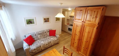 Kitchen or kitchenette, Living room, wardrobe