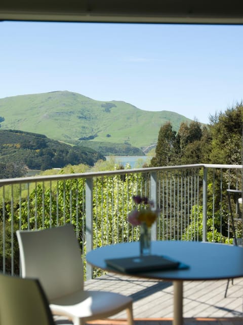 Hereweka Garden Retreat Bed and Breakfast in Dunedin