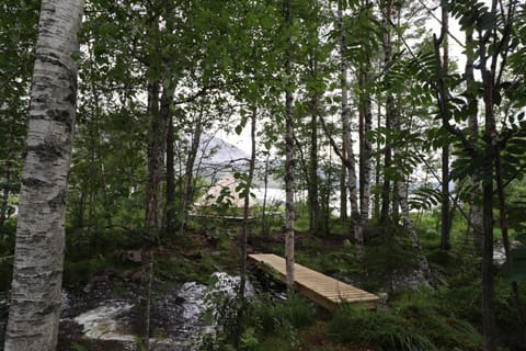 Fossumsanden Camping og Hytter Campground/ 
RV Resort in Viken, Norway