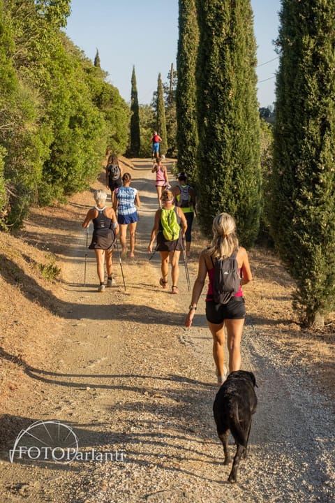 Hiking