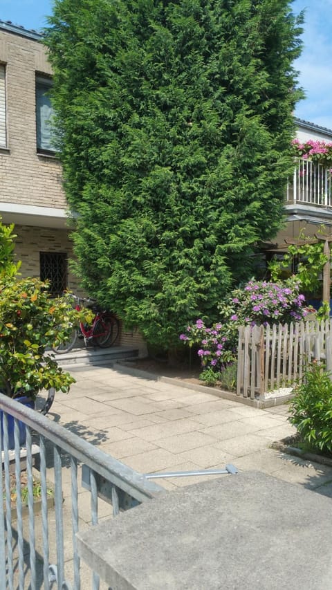 Property building, Facade/entrance, Summer