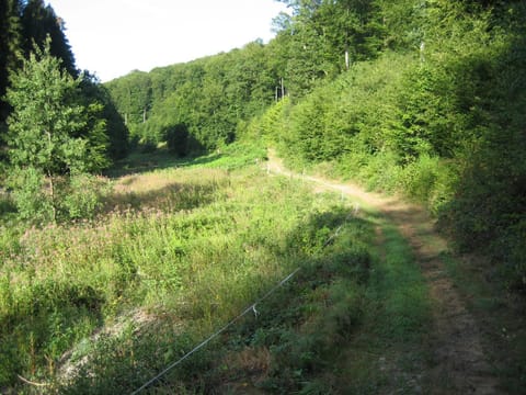 Natural landscape, Hiking