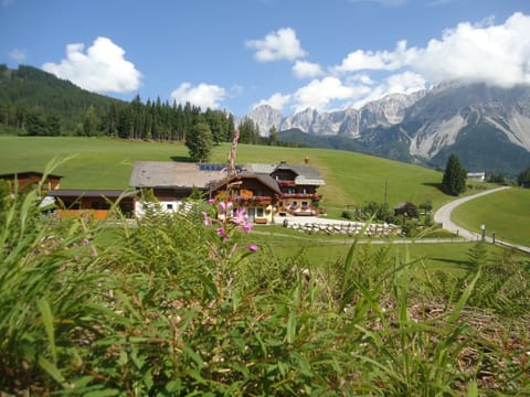 Natural landscape