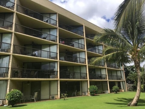 Perfect for families and couples - Maui Sunset A-203 Condo in Kihei