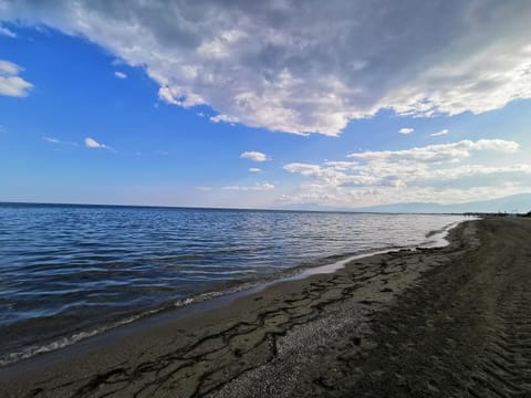 Natural landscape, Beach