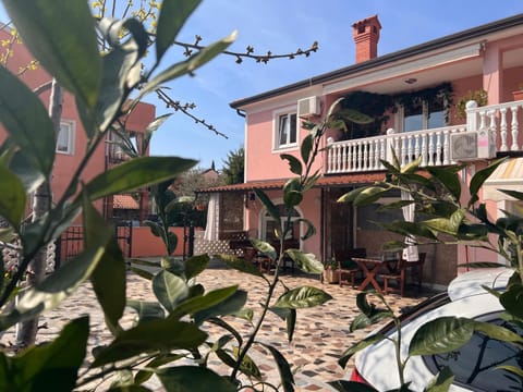 Apartments Tereza Apartment in Novigrad