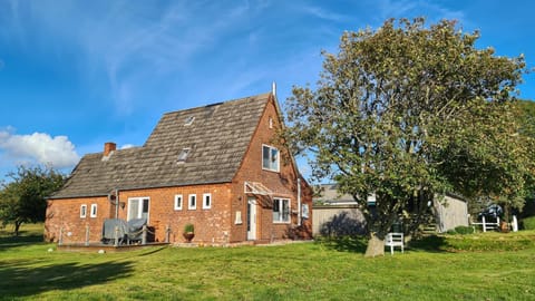 Property building, Garden, Garden view