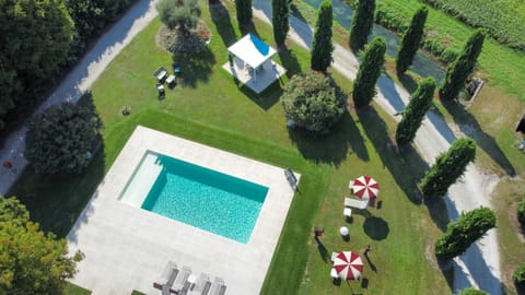 Garden, Garden view, Pool view, Swimming pool, sunbed