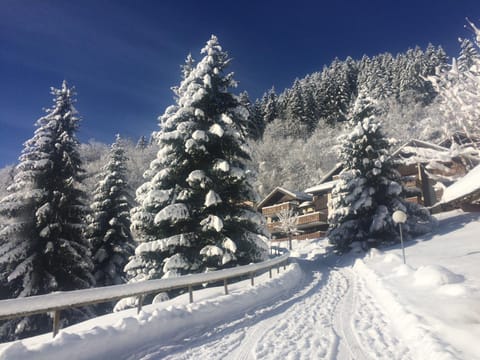 Campanule Apartment in Champagny-en-Vanoise