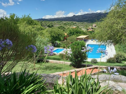 Natural landscape, Garden, Swimming pool