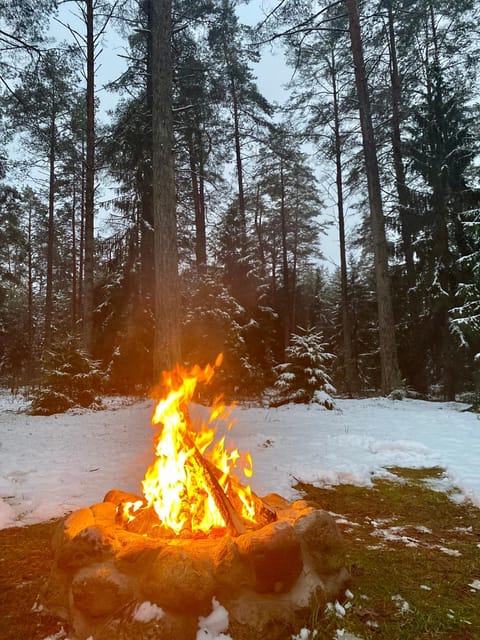 Rojaus Slenis House in Lithuania