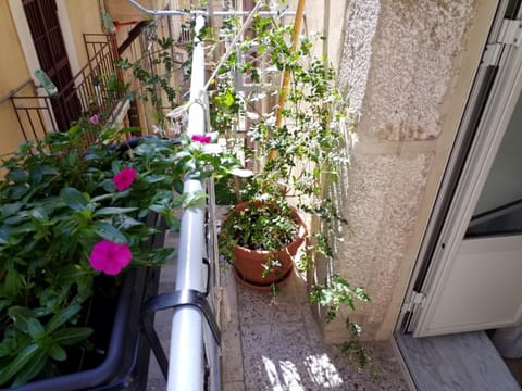 La Casa di Bianca Condo in Caltagirone