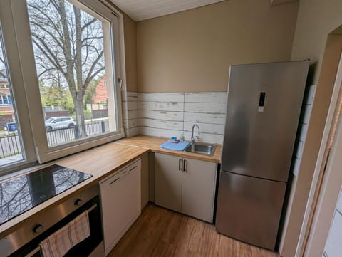 Kitchen or kitchenette, dishwasher, stove