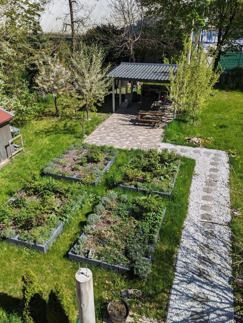 Balcony/Terrace, Garden view