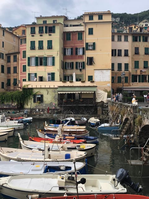 Sguardo sul Porto ( codice CITRA 01007-LT-0314 ) Condo in Camogli