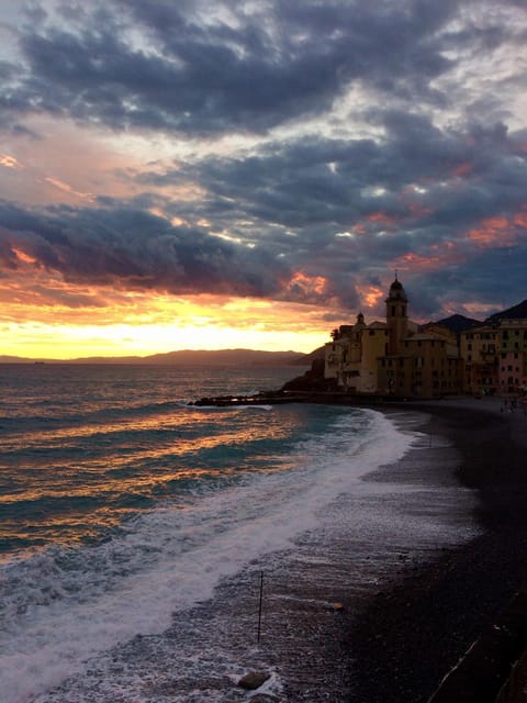 Sguardo sul Porto ( codice CITRA 01007-LT-0314 ) Wohnung in Camogli