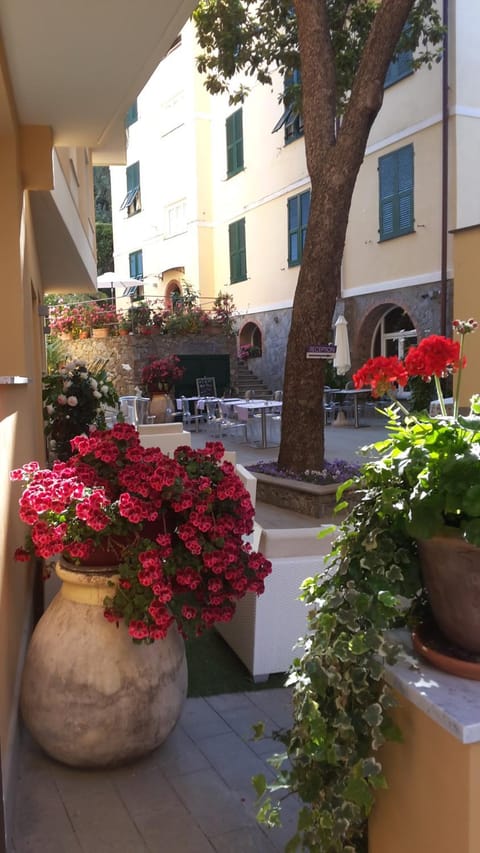 Facade/entrance, Decorative detail, Garden view