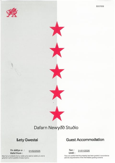 Dafarn Newydd Studio Vacation rental in Wales